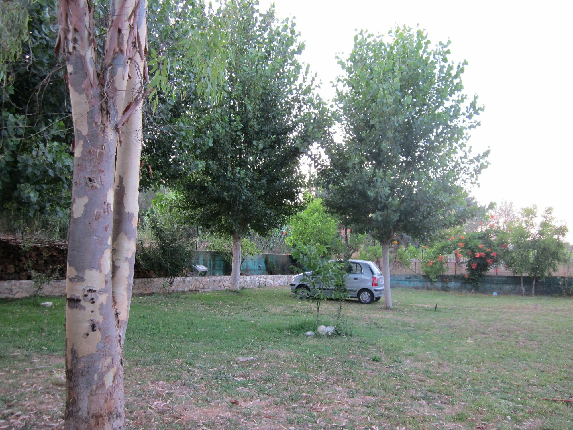 Velonádes Blue Dream Apartments מראה חיצוני תמונה